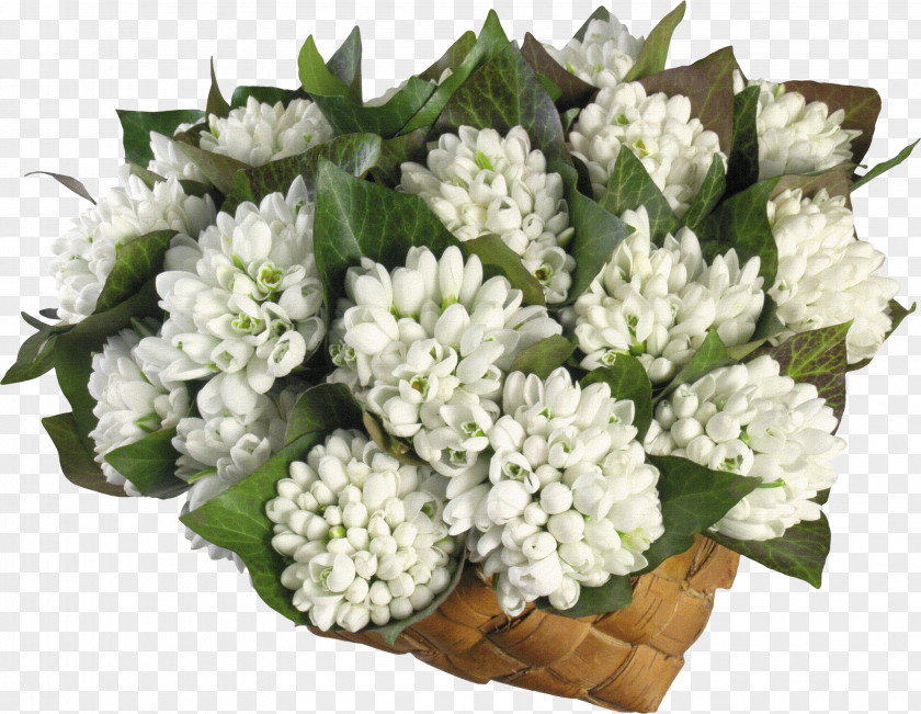 Bouquet Of White Material Snowdrop Flower March 8 Tulip PNG