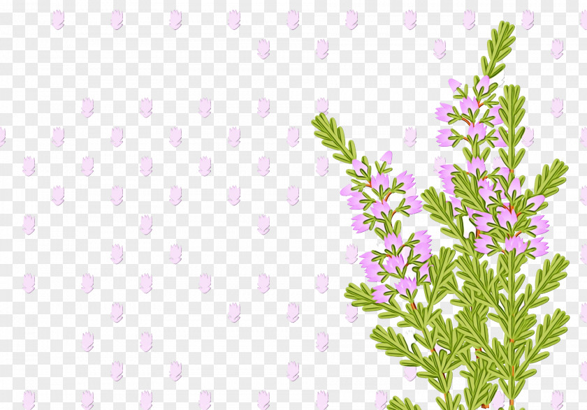 Floral Design PNG