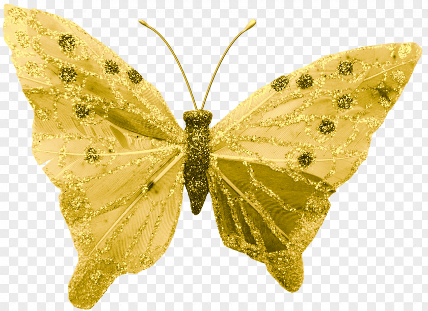 Butterflies Brush-footed Clouded Yellows Butterfly Silkworm Insect PNG