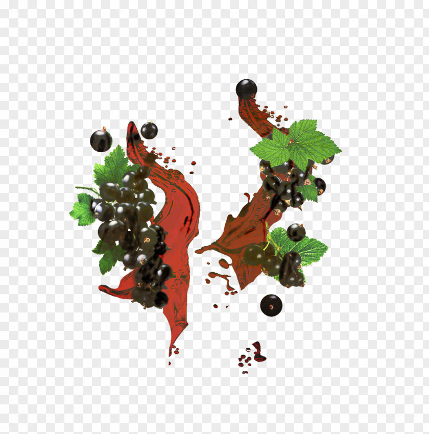 Currant Grapevine Family Plant Leaf PNG
