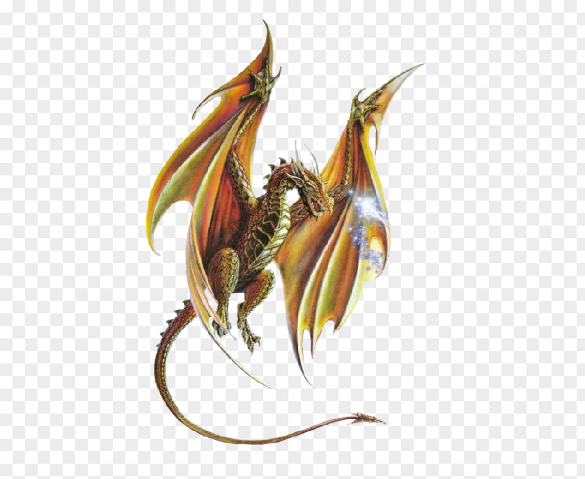 Dragon Clip Art PNG