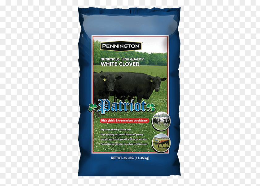 Forage White Clover Fodder Seed Pasture PNG