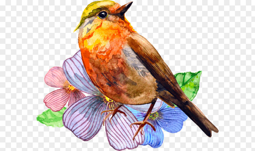 Painting Watercolor Bird Art PNG
