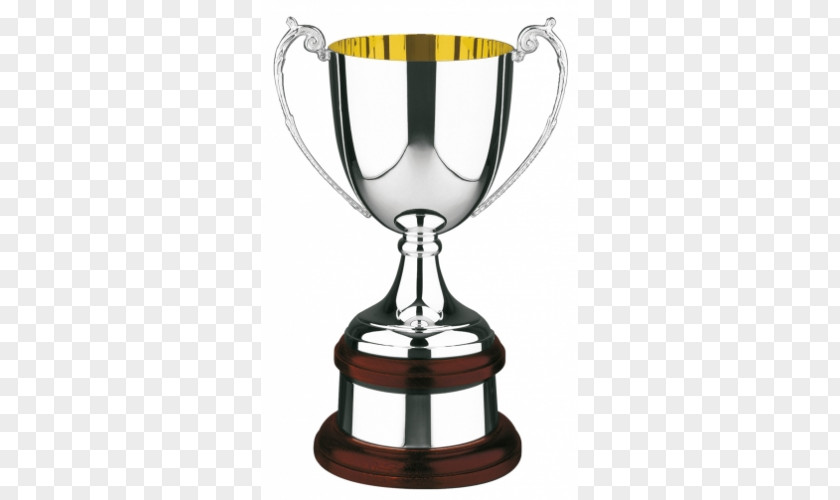 Silver Trophy Award Cup Plating PNG