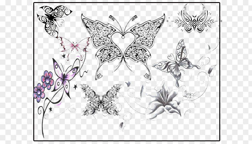 Butterfly Icon Nymphalidae PNG