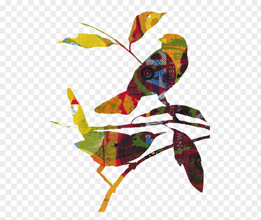 Collage Birds Bird Paper Illustration PNG