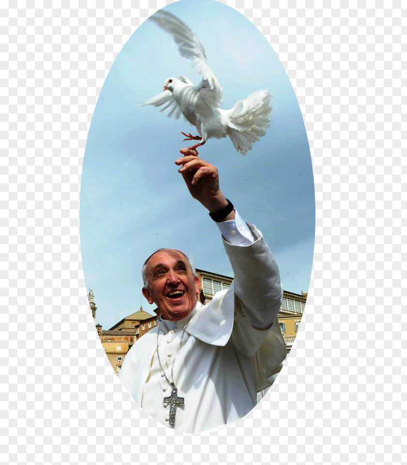 Pope Francis Vatican City Institute For The Works Of Religion Catholic Church PNG