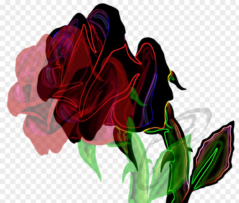 Rose Thorn Family Floral Design Cut Flowers PNG