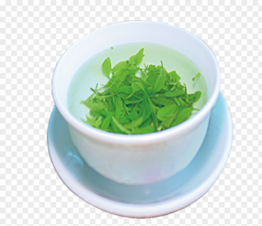 Tea Elements Green Teapot Teacup PNG