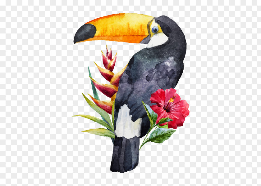 Bird Toucan Watercolor Painting PNG