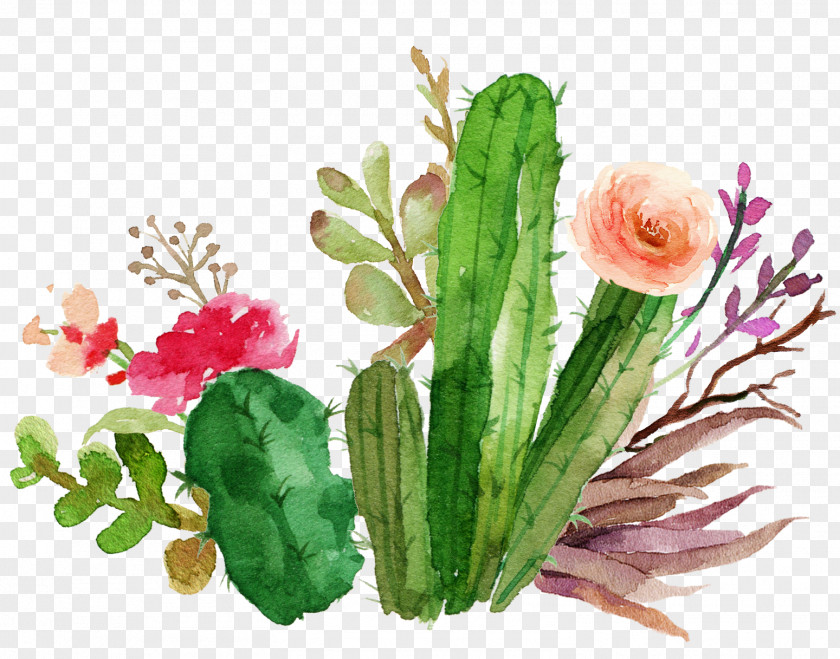 Cactus Flowers Watercolor Wedding Invitation Paper Flower Textile Succulent Plant PNG