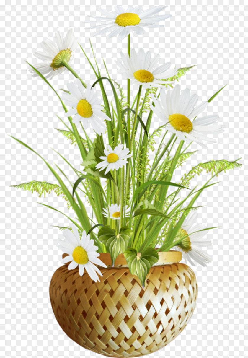 Flower Flowerpot Image Download PNG