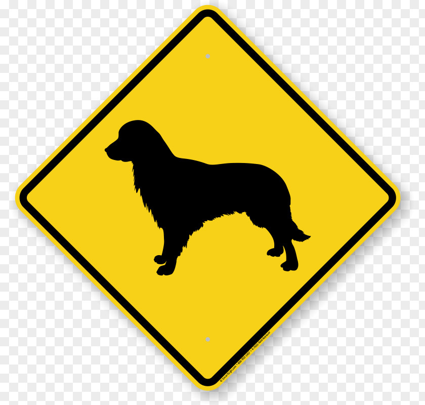 Golden Retriever Traffic Sign Driving Road Vehicle School Zone PNG