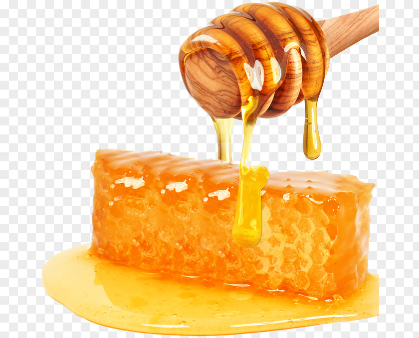 Honey Stock Photography Mead Sweetness Food PNG
