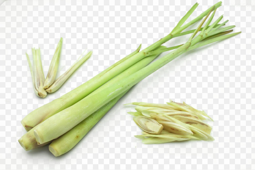 Lemon Grass Free Download Cymbopogon Citratus Martinii Food PNG