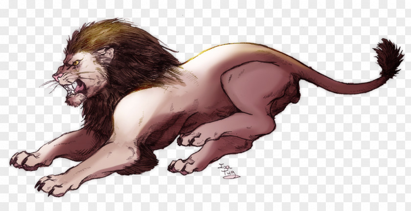 Lion Image Drawing Illustration PNG