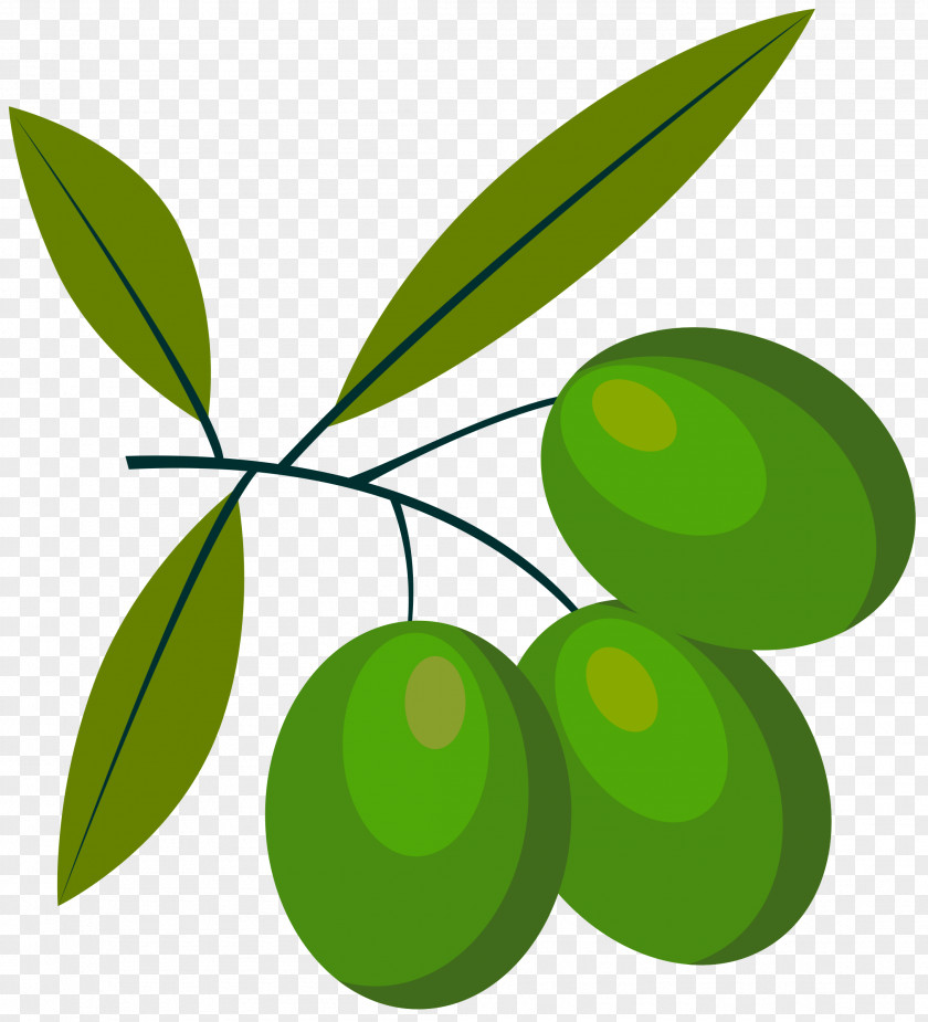 Olives Olive Clip Art PNG