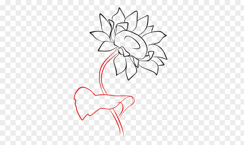 Sunflower Draw /m/02csf Drawing Line Art Cartoon Clip PNG