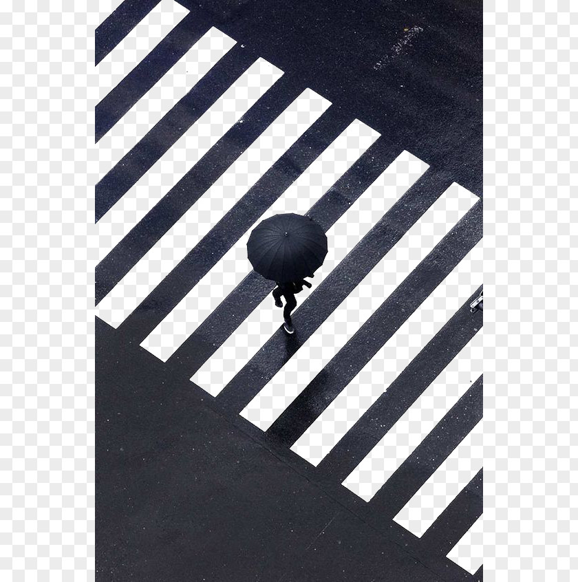 Zebra Walking In The Rain Man IMA CONCEPT STORE Tokyo Ibasho Gallery Photography PNG