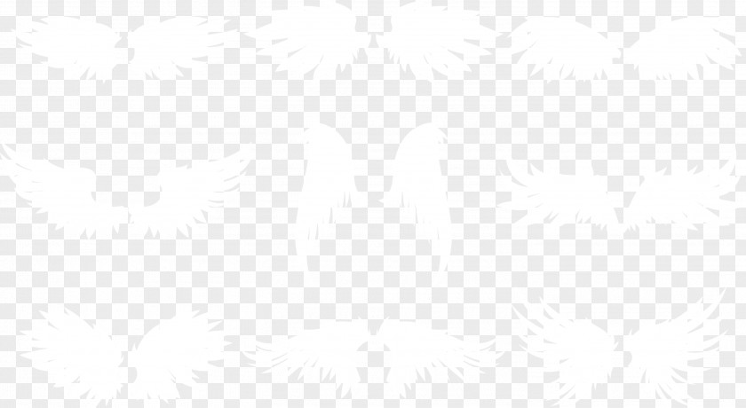 Creative Wings Set White Pattern PNG