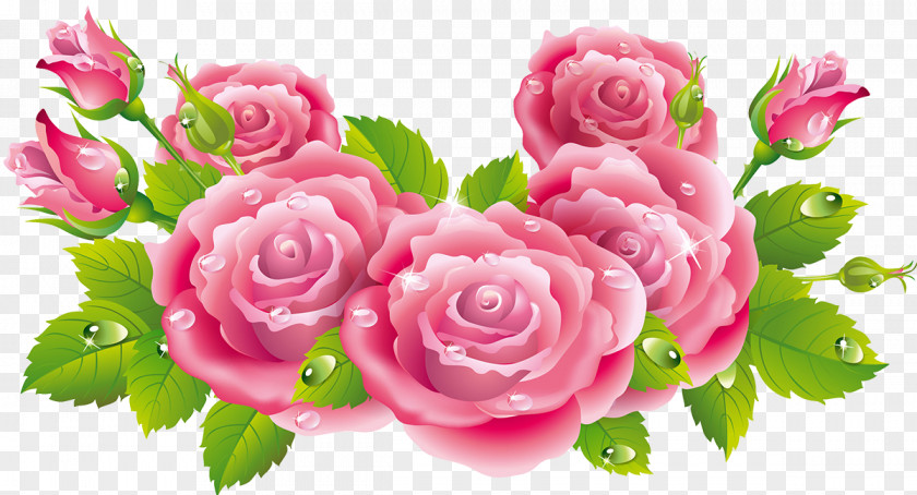 Rose Valentine's Day Heart Love PNG