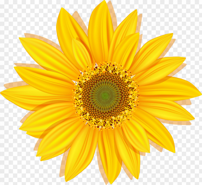 Sunflower Flower Paper Search Engine Optimization Rotation PNG