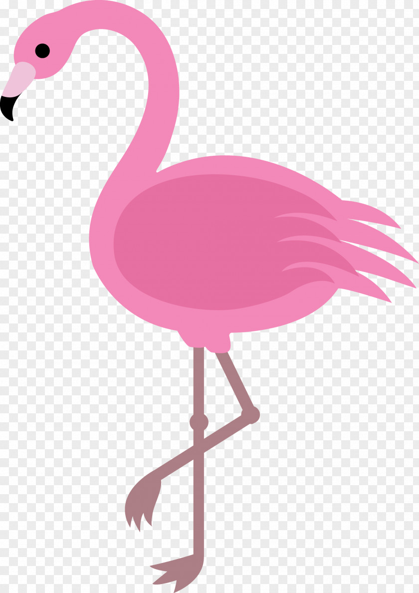Bird Cartoon Flamingo Drawing Clip Art PNG