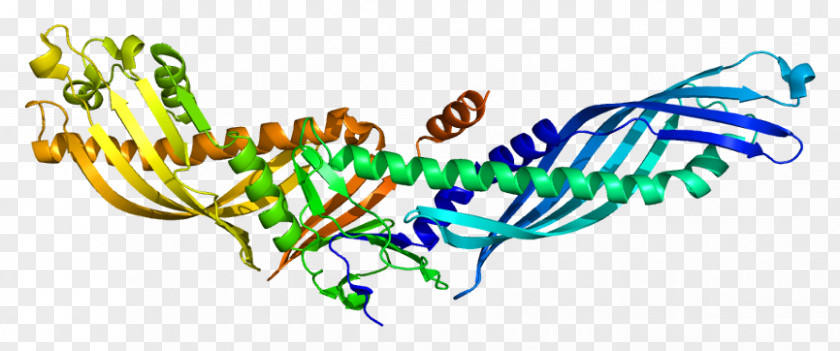 Cholesterylester Transfer Protein CETP Inhibitor Cholesteryl Ester High-density Lipoprotein Plant Lipid Proteins PNG