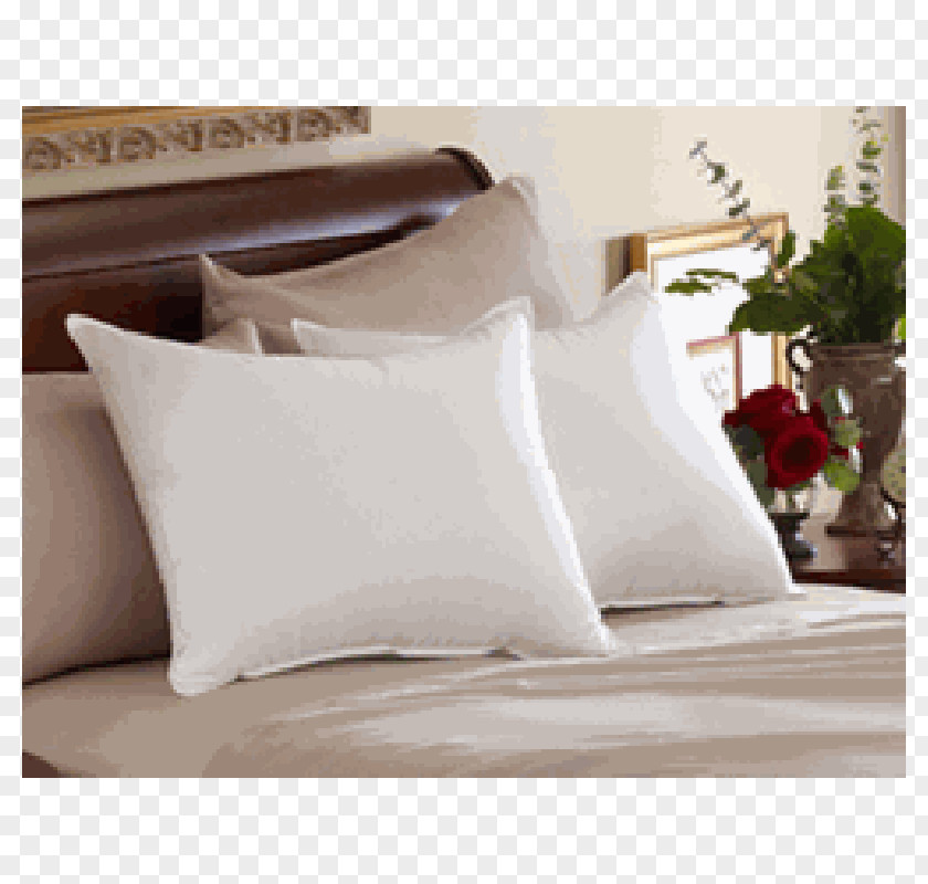 Goose Down Pillows Bed Sheets Cushion Pillow Feather Pacific Coast Company PNG