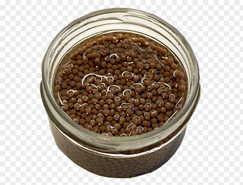 Nori Seaweed Caviar Commodity Superfood PNG