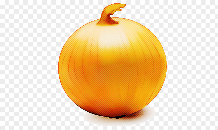 Orange PNG