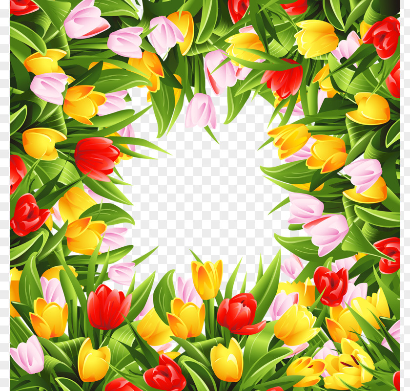 Tulip Border Flowers Stock Photography PNG