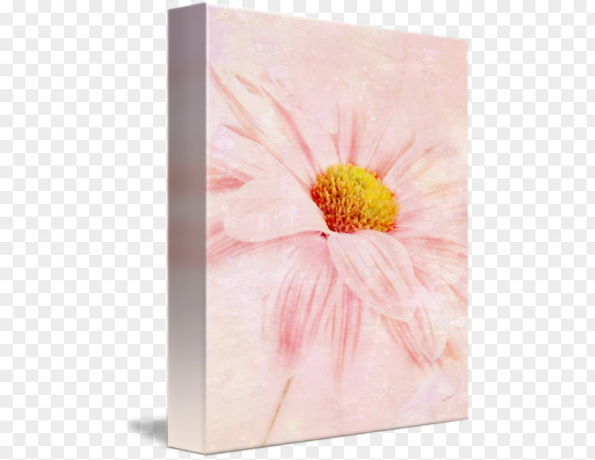 Canvas Wall Transvaal Daisy Acrylic Paint Still Life Photography Floral Design PNG