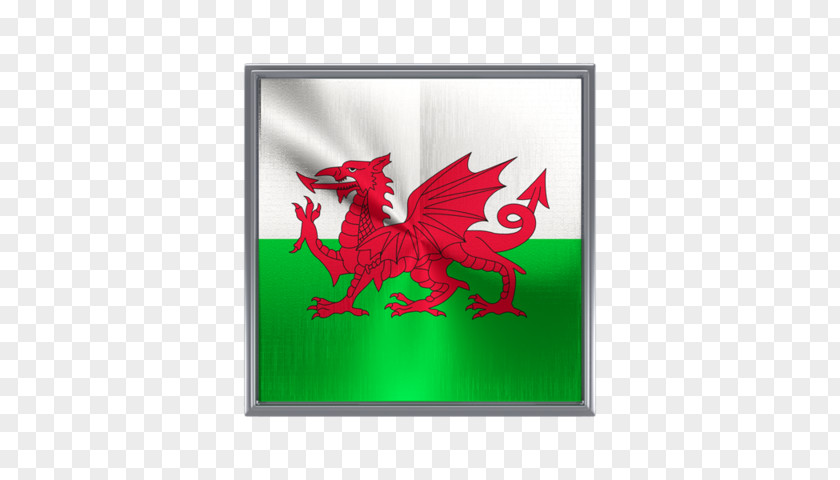 Flag Of Wales Welsh Dragon People PNG