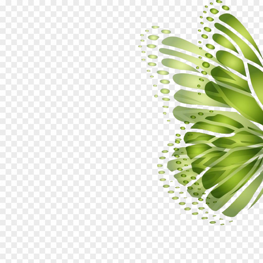 Green Background Butterfly Wings High-definition Television Wallpaper PNG