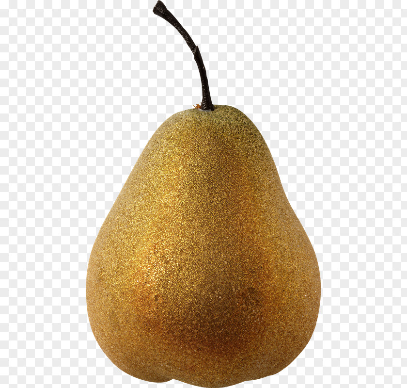 Pear Image Adobe Photoshop PNG