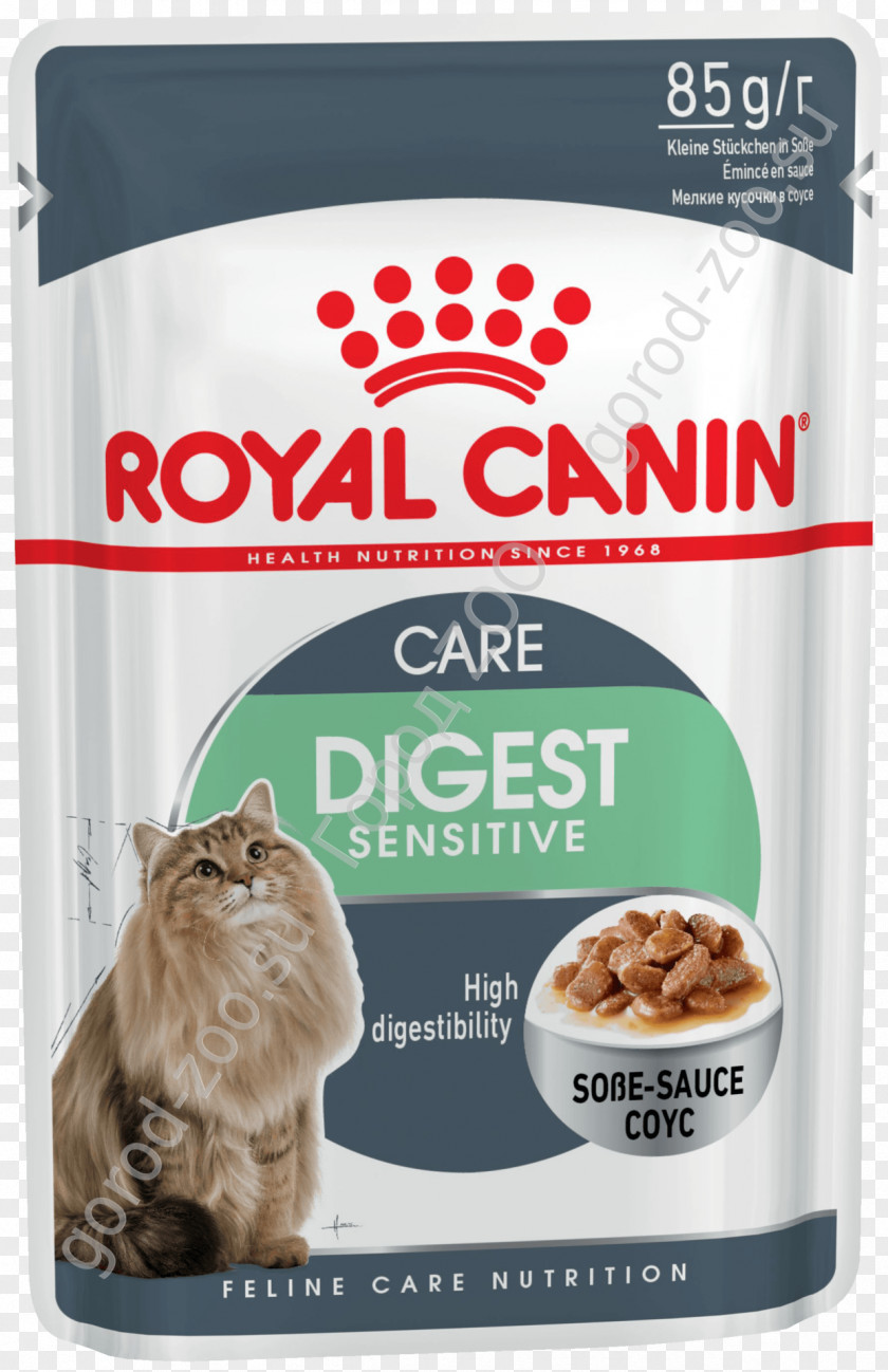Cat Food Dog Kitten Royal Canin PNG