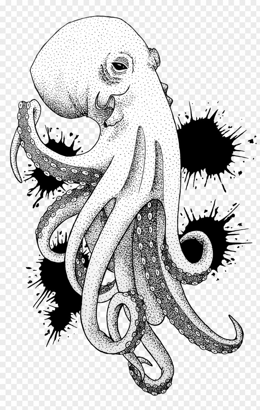 Octopus Seafood DeviantArt Squid Drawing PNG