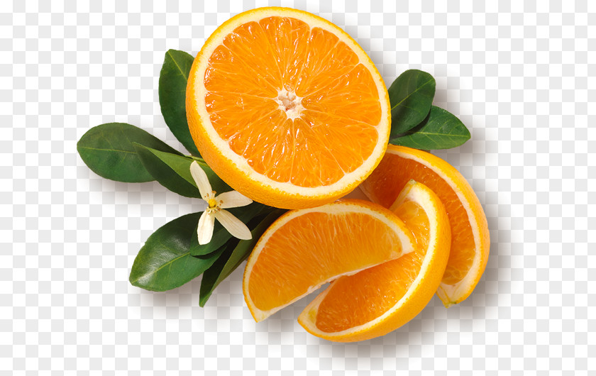 Orange Blood Clementine Tangelo Juice PNG