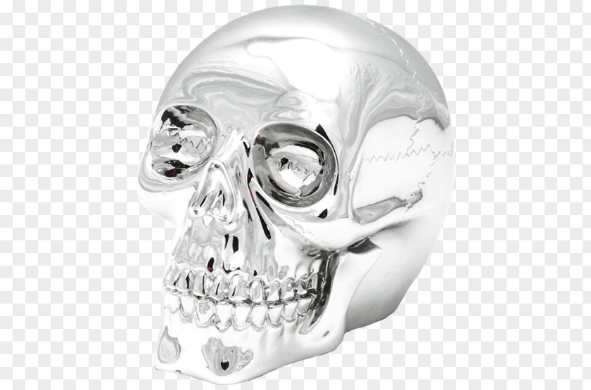 Skull Resin Casting Jaw Price PNG