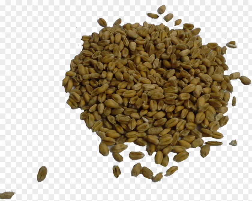 Whole Grain Nut Commodity Seed PNG