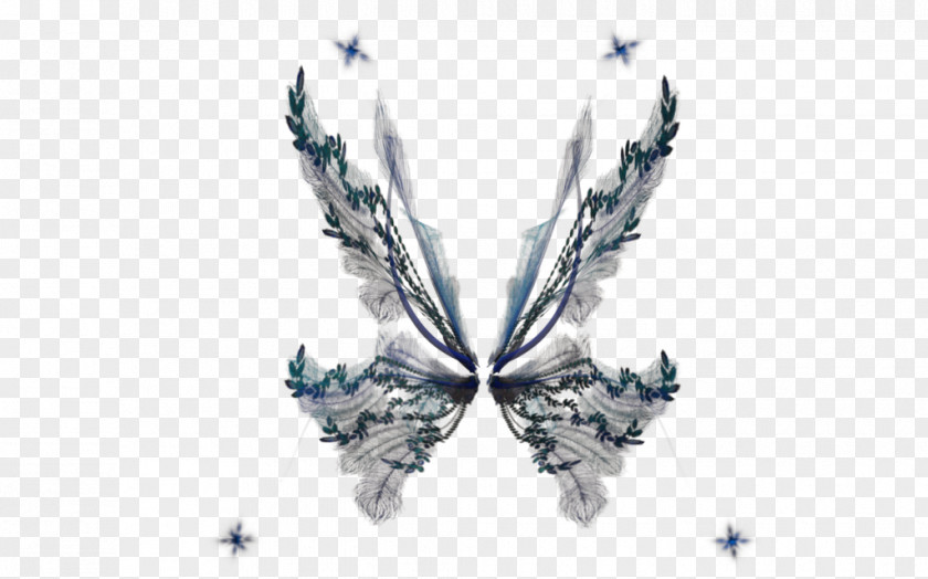 Fairy Butterfly Wing Clip Art PNG