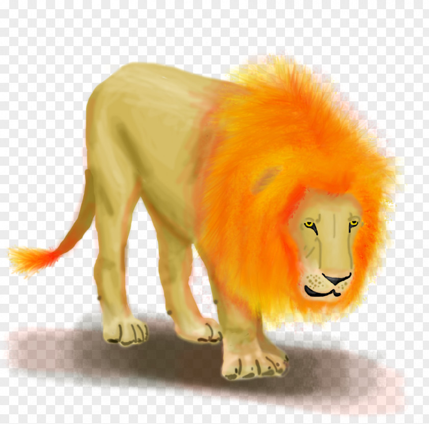 Lion Big Cat Roar Fauna PNG