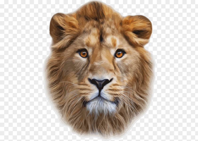 Lion Lionhead Rabbit Lion's Head Cougar Clip Art PNG