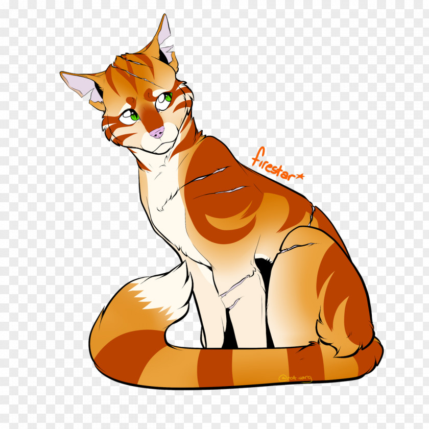 Cat Whiskers Tigerstar Clip Art PNG