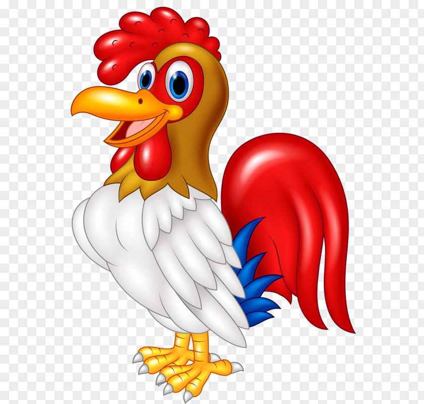 Chicken Vector Rooster Caricature PNG