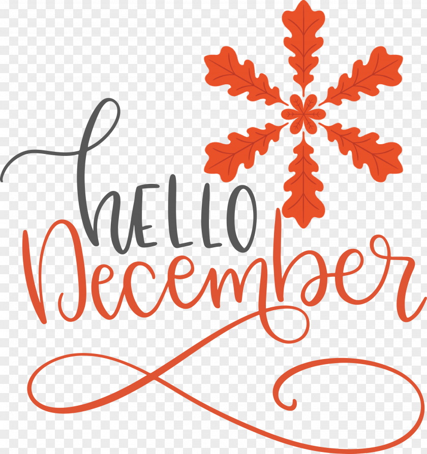 Hello December Winter PNG