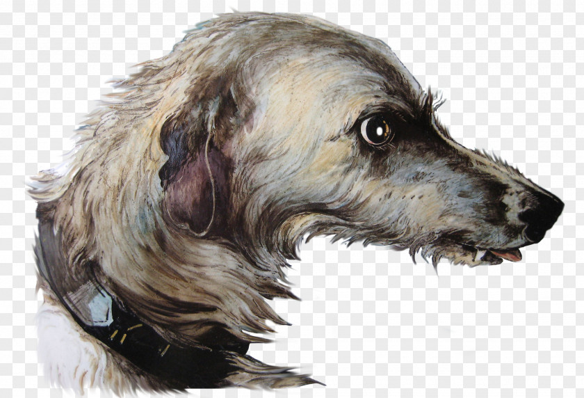 Lurcher Rare Breed (dog) Dog Snout PNG