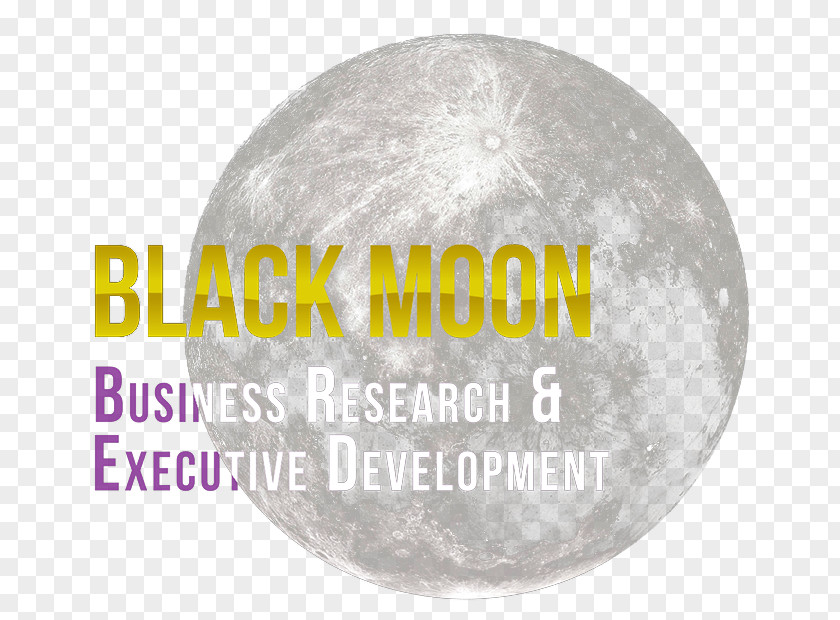 Business Management Limited Company Black Moon PNG