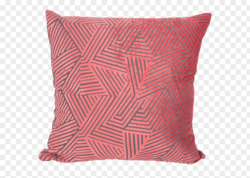 Coral Collection Throw Pillows Velvet Cushion Down Feather PNG